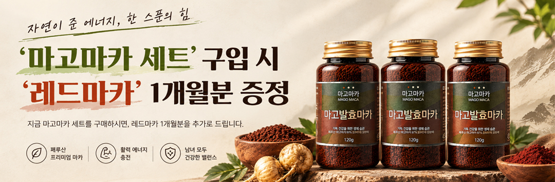 메인 배너